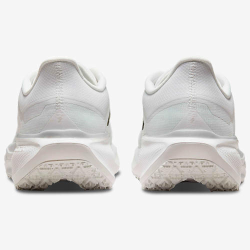 Nike Air ZOOM Pegasus 41 GTX