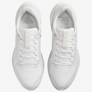 Nike Air ZOOM Pegasus 41 GTX