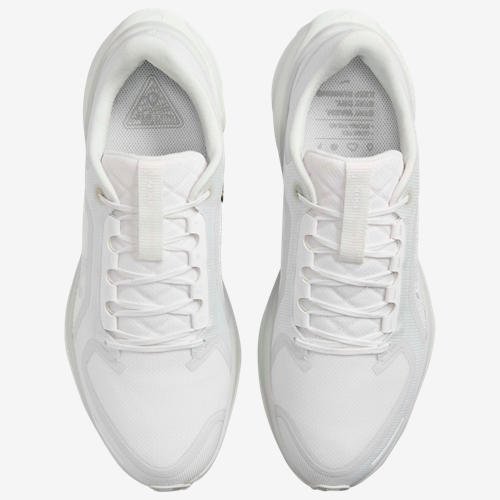 Nike Air ZOOM Pegasus 41 GTX