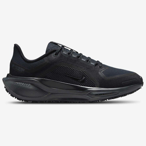 Nike Air ZOOM Pegasus 41 GTX