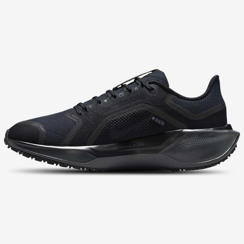 Nike Air ZOOM Pegasus 41 GTX