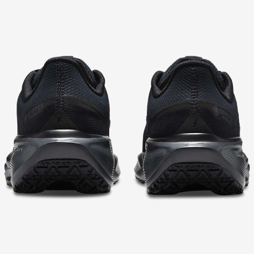 Nike Air ZOOM Pegasus 41 GTX