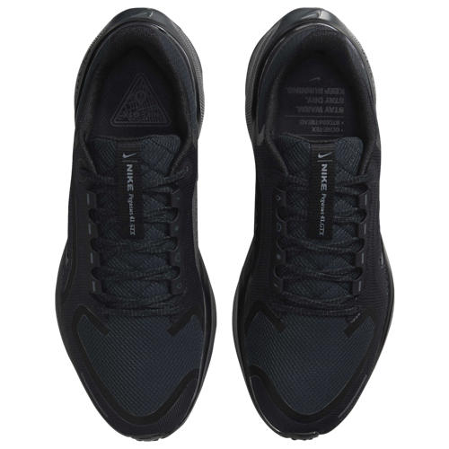Nike Air ZOOM Pegasus 41 GTX