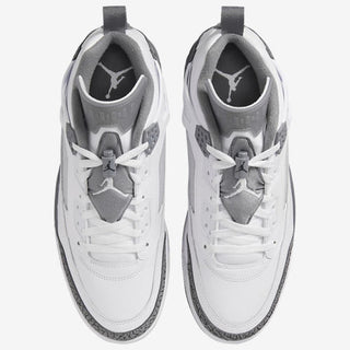 Jordan Spizike Low