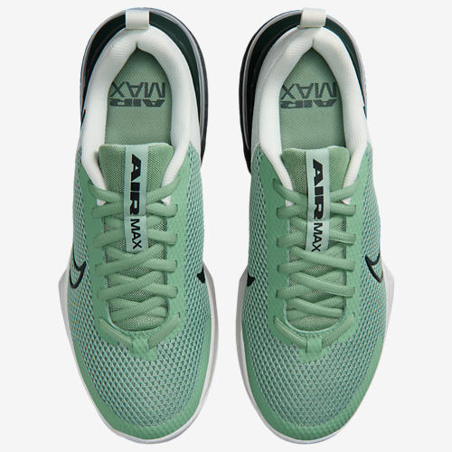 Nike Air Max Alpha Trainer 6