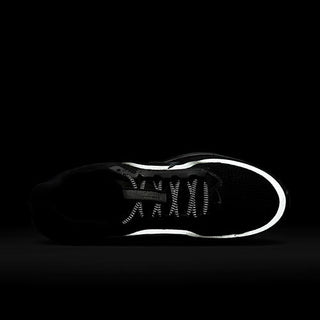 Nike Pegasus Premium