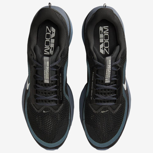 Nike Pegasus Premium