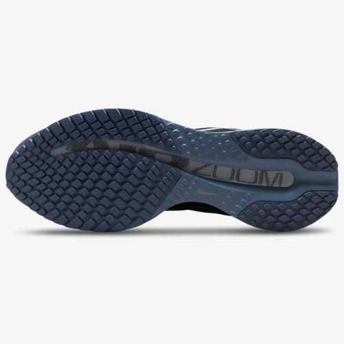 Nike Pegasus Premium