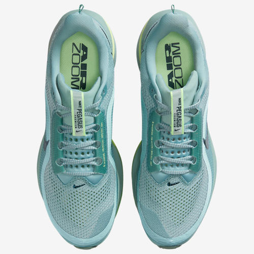 Nike Pegasus Premium