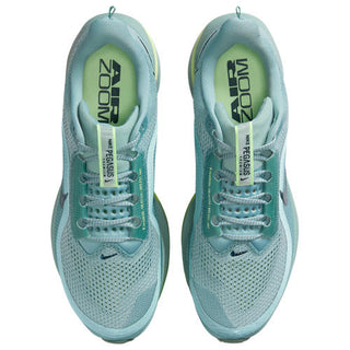 Nike Pegasus Premium