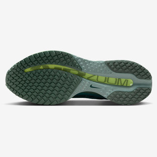 Nike Pegasus Premium