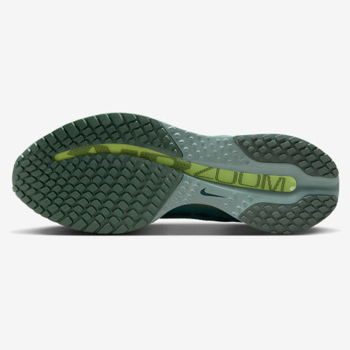 Nike Pegasus Premium