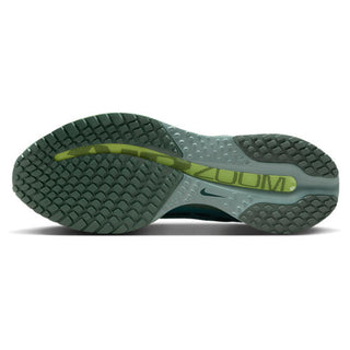 Nike Pegasus Premium