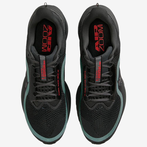 Nike Pegasus Premium