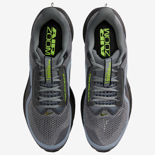 Nike Pegasus Premium