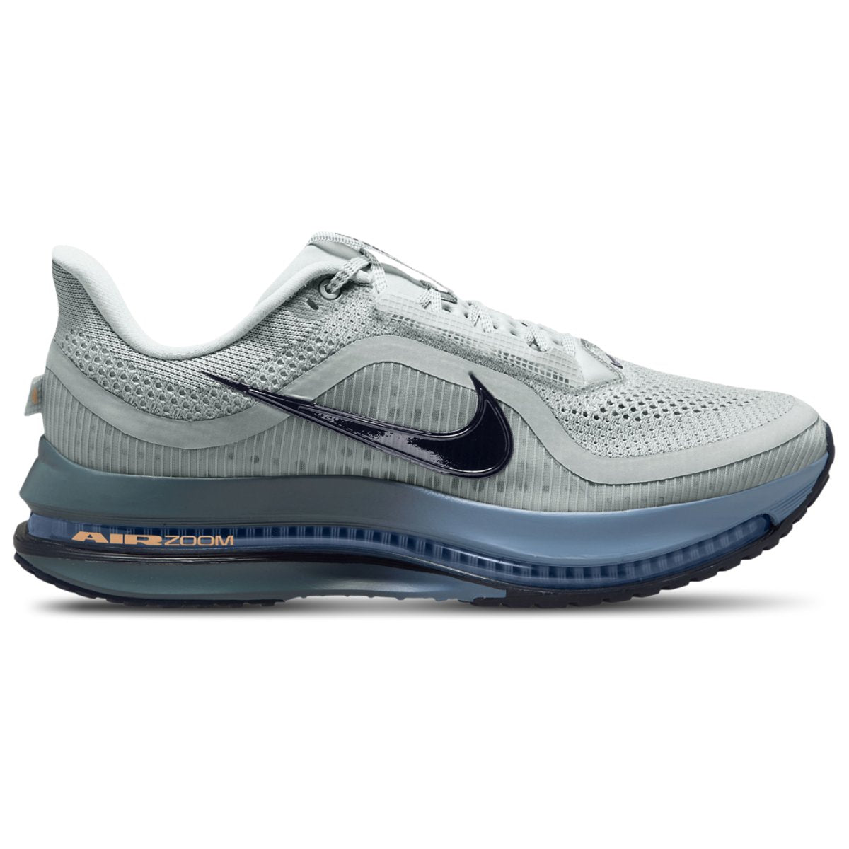 Nike Pegasus Premium