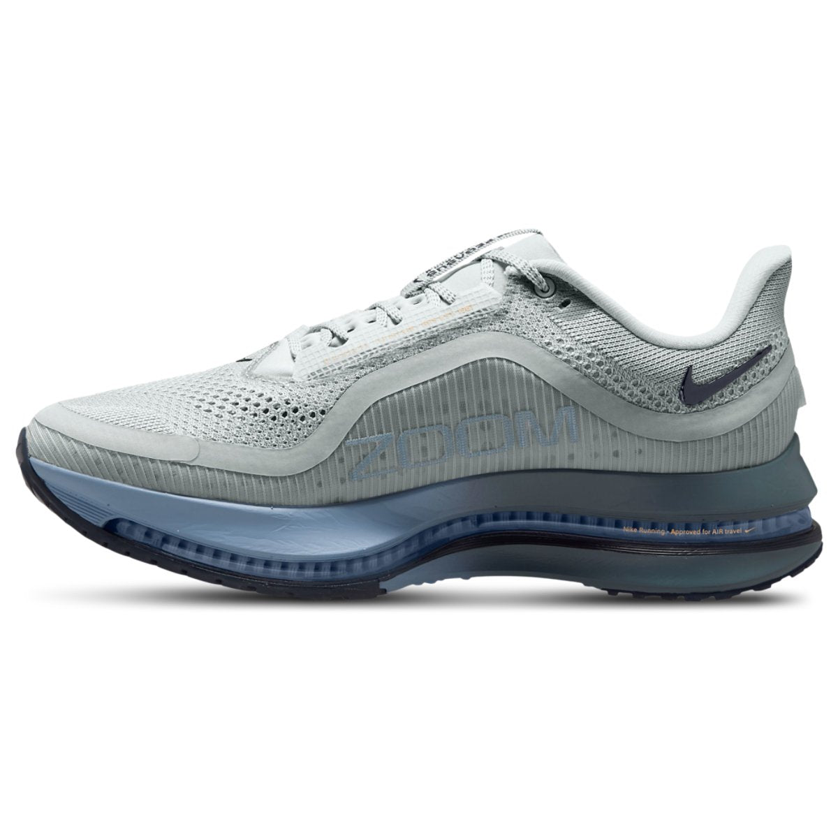 Nike Pegasus Premium