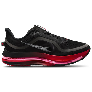Nike Pegasus Premium