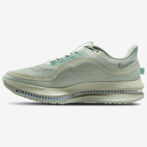 Nike Pegasus Premium