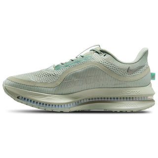 Nike Pegasus Premium
