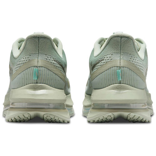 Nike Pegasus Premium