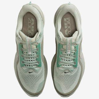 Nike Pegasus Premium