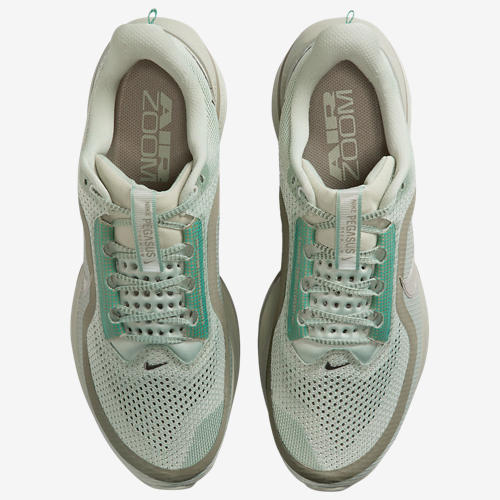 Nike Pegasus Premium