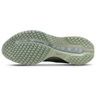 Nike Pegasus Premium