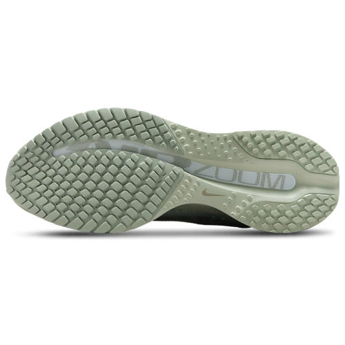 Nike Pegasus Premium