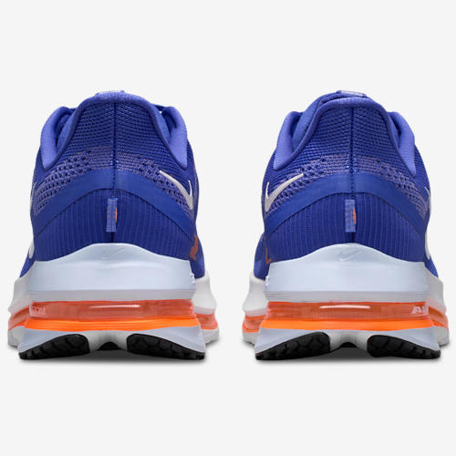 Nike Pegasus Premium