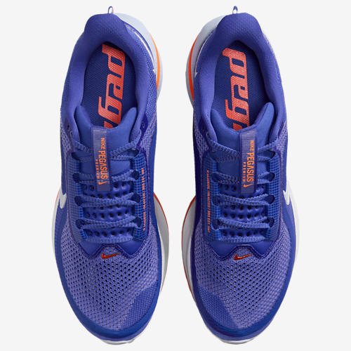 Nike Pegasus Premium