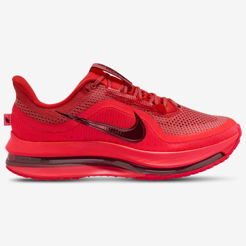 Nike Pegasus Premium