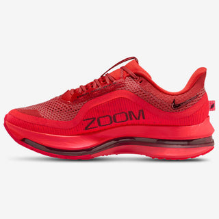Nike Pegasus Premium