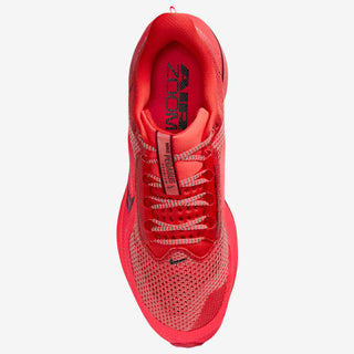 Nike Pegasus Premium