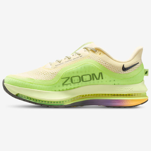 Nike Pegasus Premium