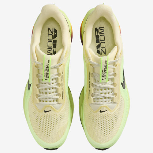 Nike Pegasus Premium