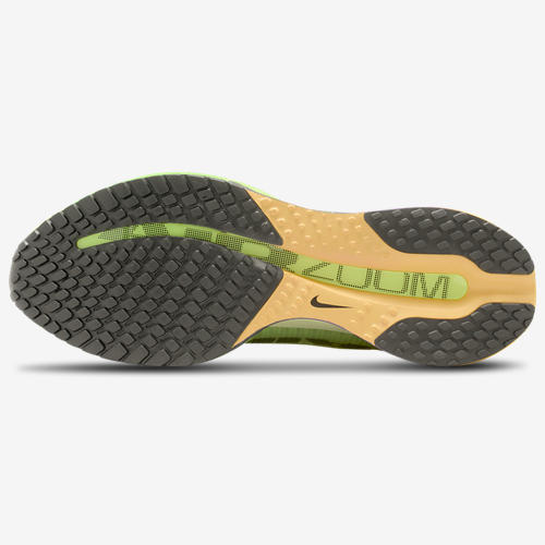 Nike Pegasus Premium