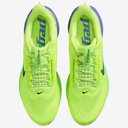 Nike Pegasus Premium