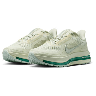 Nike Pegasus Premium