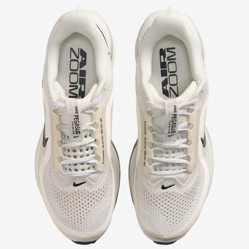 Nike Pegasus Premium