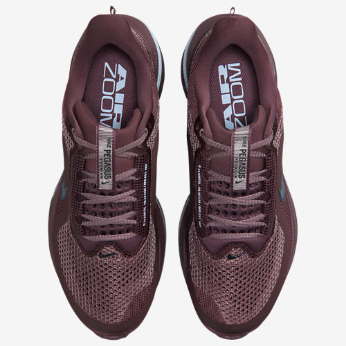 Nike Pegasus Premium