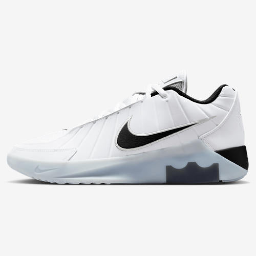 Nike Lebron Witness IX