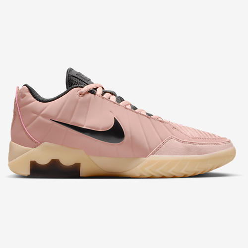 Nike Lebron Witness IX