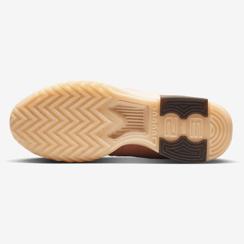 Nike Lebron Witness IX
