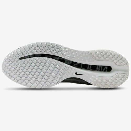 Nike Pegasus Premium RR