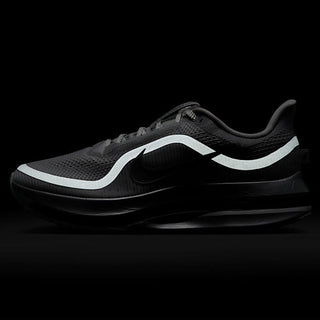 Nike Pegasus Premium RR