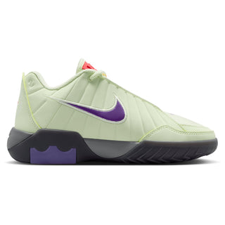 Nike Lebron Witness IX