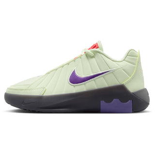 Nike Lebron Witness IX