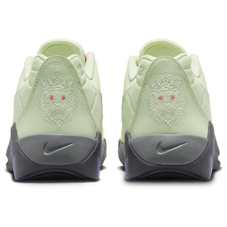 Nike Lebron Witness IX