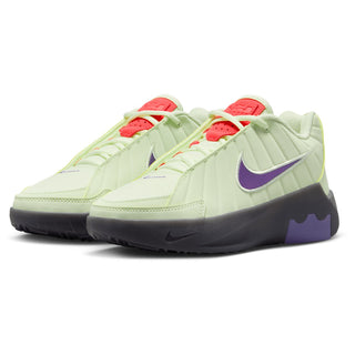 Nike Lebron Witness IX